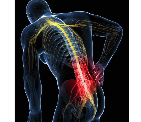「ぎっくり腰」が消失。カイロプラクティック・整体の脊椎矯正・骨盤矯正。