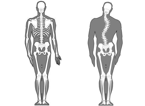 ch1-263gif。 背骨が痛いと悩んでいませんか？背中が凝ると悩んでいるあなた。 背中の痛み/コリの多くは痛みや凝りを治すことができます。 背中の凝りや痛みの原因のほとんどは背骨の歪みが原因です。 磐田市周辺で整体/カイロプラクティックを探しているなら、口コミで評判のカイロプラクティック、整体をおススメします。 背中のコリ/痛みは、早いうちに改善することが大切です。 背骨の歪みは、ほっておくと痛みや凝りが増していきます。 背中の痛み/コリには、突然現れる症状から慢性的に痛みや凝りが継続するものまで様々です。 背中の痛みなどの症状の多くが、筋肉・骨格系のものです。 当院は、磐田市周辺の筋肉骨格系の施術の専門院です。 背骨矯正のことなら任せて下さい。 口コミで評判の整体、カイロプラクティックです。