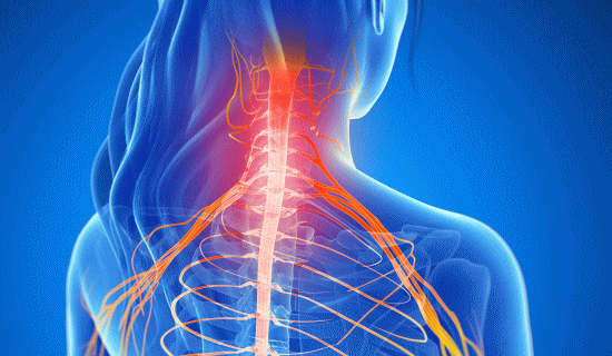 「肩凝り」の原因を改善する方法と整体とカイロプラクティック