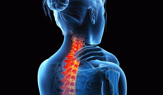 「背中の痛み」の治し方とカイロプラクティックと整体の施術