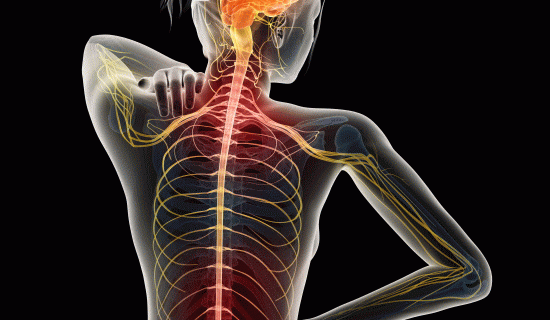 「背中の痛み」を痛みを改善する整体とカイロプラクティック