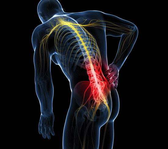 腰痛を治す治療と浜松市のカイロプラクティック、整体、整骨院
