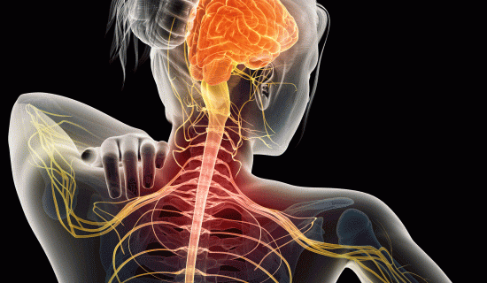 「首の痛み」の治し方を整体とカイロプラクティックの治療法