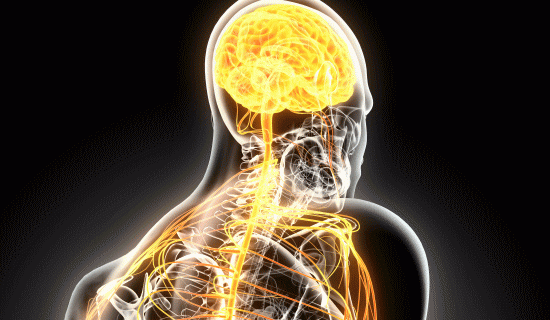 「偏頭痛」の改善方法と整体とカイロプラクティックの治療
