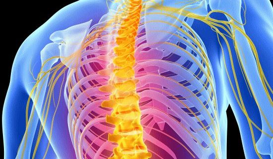 「背中の痛み」や「背中の凝り」を治す整体とカイロプラクティックの治療